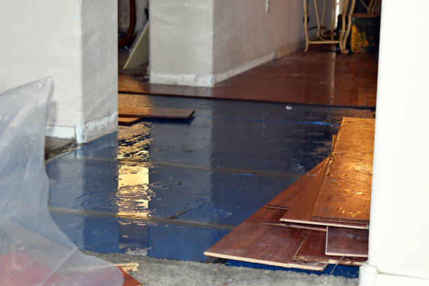 Professional Water Damage Restoration technician working in Highland, IN